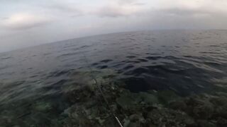 Морская рыбалка в Египте новый личный рекорд на вечерней прогулке по морю