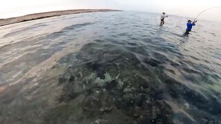 Морская рыбалка в Египте новый личный рекорд на вечерней прогулке по морю