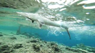 Морская рыбалка в Египте новый личный рекорд на вечерней прогулке по морю