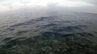 Морская рыбалка в Египте новый личный рекорд на вечерней прогулке по морю