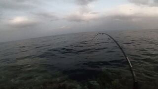 Морская рыбалка в Египте новый личный рекорд на вечерней прогулке по морю