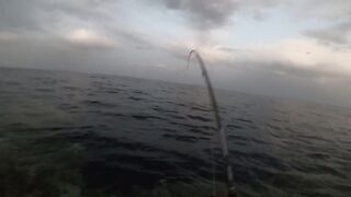 Морская рыбалка в Египте новый личный рекорд на вечерней прогулке по морю