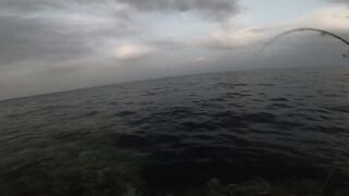 Морская рыбалка в Египте новый личный рекорд на вечерней прогулке по морю