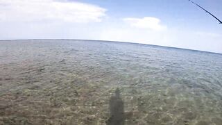 Морская рыбалка в Египте новый личный рекорд на вечерней прогулке по морю