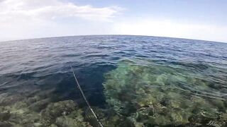 Морская рыбалка в Египте новый личный рекорд на вечерней прогулке по морю