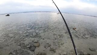 Морская рыбалка в Египте новый личный рекорд на вечерней прогулке по морю