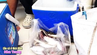 Nha Trang Bich Dam как выбрать катер или лодку для морской рыбалки и узнать цены