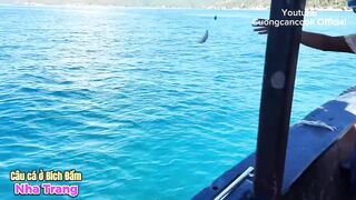 Nha Trang Bich Dam как выбрать катер или лодку для морской рыбалки и узнать цены