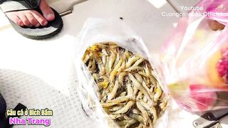 Nha Trang Bich Dam как выбрать катер или лодку для морской рыбалки и узнать цены