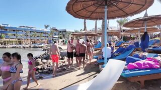 Египет 2025 как дурят туристов на морских экскурсиях и рыбалке в Sharm el Sheikh