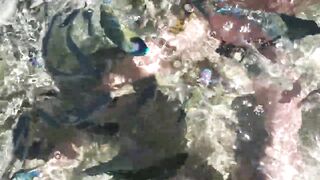 Рыбы в Sharm El Sheikh и египетская морская рыбалка с лодки и рифов