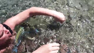 Рыбы в Sharm El Sheikh и египетская морская рыбалка с лодки и рифов