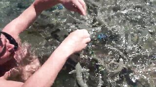 Рыбы в Sharm El Sheikh и египетская морская рыбалка с лодки и рифов