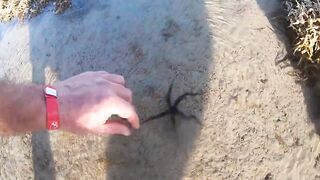 Sharm el Sheikh - можно и без удочек но море и рыба вокруг манят к рыбалке