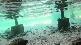 Sharm el Sheikh - можно и без удочек но море и рыба вокруг манят к рыбалке