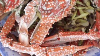 Лучшие морепродукты Вьетнама Nha Trang fishing village рыбаки лодки и свежая рыба