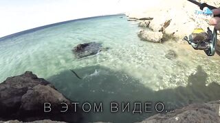 Рыбалка в Египте: почему морская рыбалка для туристов местами запрещена часть 1
