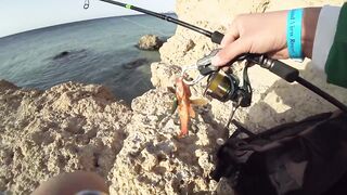 Рыбалка в Египте: почему морская рыбалка для туристов местами запрещена часть 1