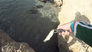 Рыбалка в Египте: почему морская рыбалка для туристов местами запрещена часть 1