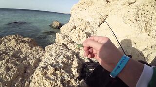 Рыбалка в Египте: почему морская рыбалка для туристов местами запрещена часть 1