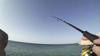 Рыбалка в Египте: почему морская рыбалка для туристов местами запрещена часть 1