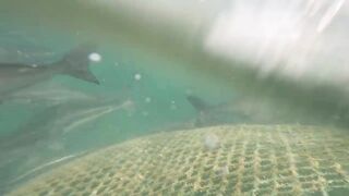 Семейная морская рыбалка в Нячанге Вьетнам дети и взрослые на одной лодке делят каждый трофей