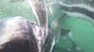 Семейная морская рыбалка в Нячанге Вьетнам дети и взрослые на одной лодке делят каждый трофей