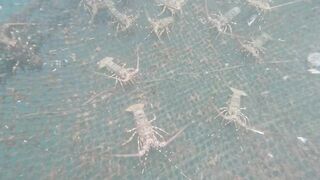 Семейная морская рыбалка в Нячанге Вьетнам дети и взрослые на одной лодке делят каждый трофей