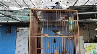 Семейная морская рыбалка в Нячанге Вьетнам дети и взрослые на одной лодке делят каждый трофей