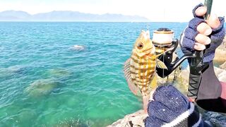 Рыбалка в Нячанге у Hang Heo встреча со стаей groupers у скалистого берега моря