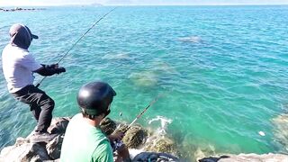 Рыбалка в Нячанге у Hang Heo встреча со стаей groupers у скалистого берега моря