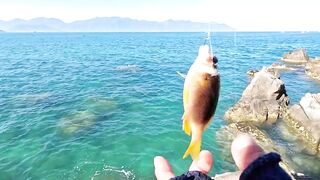 Рыбалка в Нячанге у Hang Heo встреча со стаей groupers у скалистого берега моря