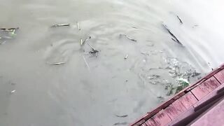 Первая рыбалка во Вьетнаме Нячанг и Ho Chi Minh City глазами туриста