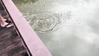 Первая рыбалка во Вьетнаме Нячанг и Ho Chi Minh City глазами туриста