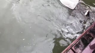 Первая рыбалка во Вьетнаме Нячанг и Ho Chi Minh City глазами туриста