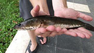 Первая рыбалка во Вьетнаме Нячанг и Ho Chi Minh City глазами туриста