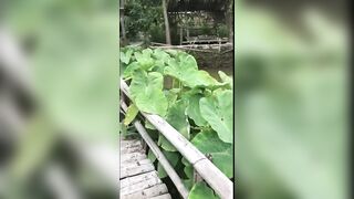 Первая рыбалка во Вьетнаме Нячанг и Ho Chi Minh City глазами туриста