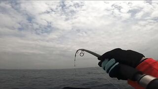 GT Sri Lanka: морская рыбалка на гигантского тревалли у скалистого берега