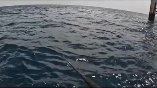 GT Sri Lanka: морская рыбалка на гигантского тревалли у скалистого берега