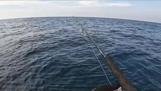 GT Sri Lanka: морская рыбалка на гигантского тревалли у скалистого берега