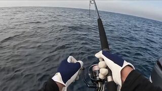 GT Sri Lanka: морская рыбалка на гигантского тревалли у скалистого берега