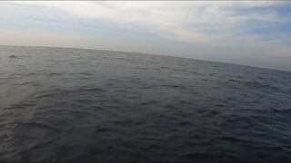 GT Sri Lanka: морская рыбалка на гигантского тревалли у скалистого берега