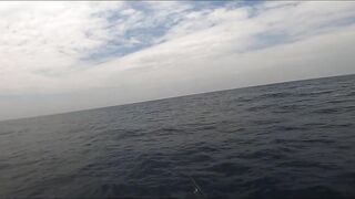 GT Sri Lanka: морская рыбалка на гигантского тревалли у скалистого берега