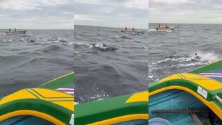 Исследуем tuna fishing в Sri Lanka морская рыбалка в Trinco за океанским тунцом у синего обрыва