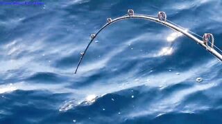 Морская рыбалка в Нячанге встреча с amberjack более 20 кг которого еле тянут к борту лодки