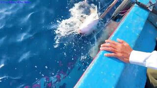 Морская рыбалка в Нячанге встреча с amberjack более 20 кг которого еле тянут к борту лодки