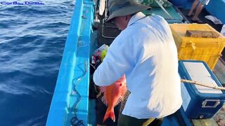 Морская рыбалка в Нячанге встреча с amberjack более 20 кг которого еле тянут к борту лодки