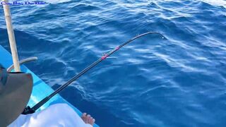 Морская рыбалка в Нячанге встреча с amberjack более 20 кг которого еле тянут к борту лодки