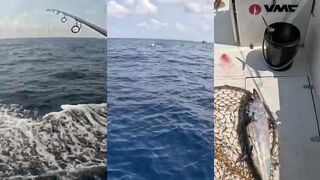 Run and gun тунцовая рыбалка на Шри-Ланке быстрые выходы по кипящим котлам в океане