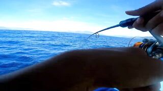 Морская рыбалка в Нячанге сверхчувствительная креветка приманка и мощные удары морского хищника